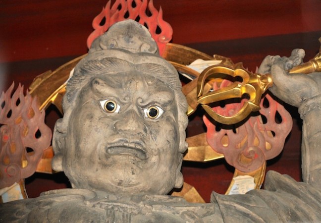 DSC_0081 - Version 2